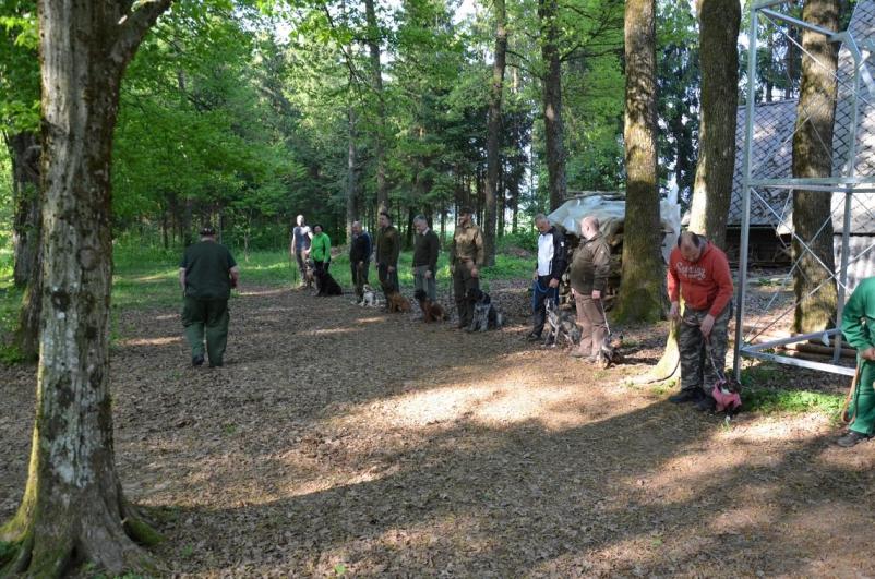 Šolanje psov lovskih pasem Gorenjska