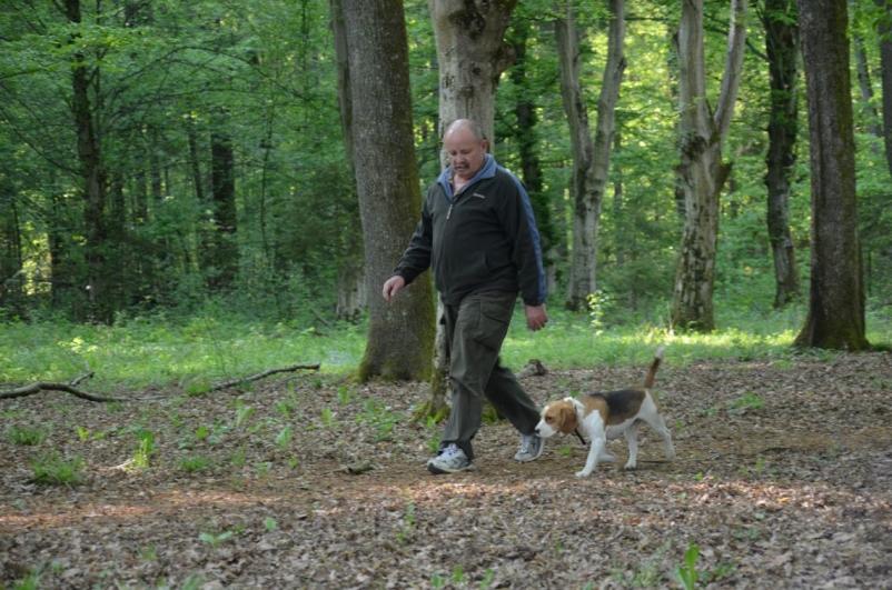 Šolanje za lovske pse Gorenjska, Slovenija