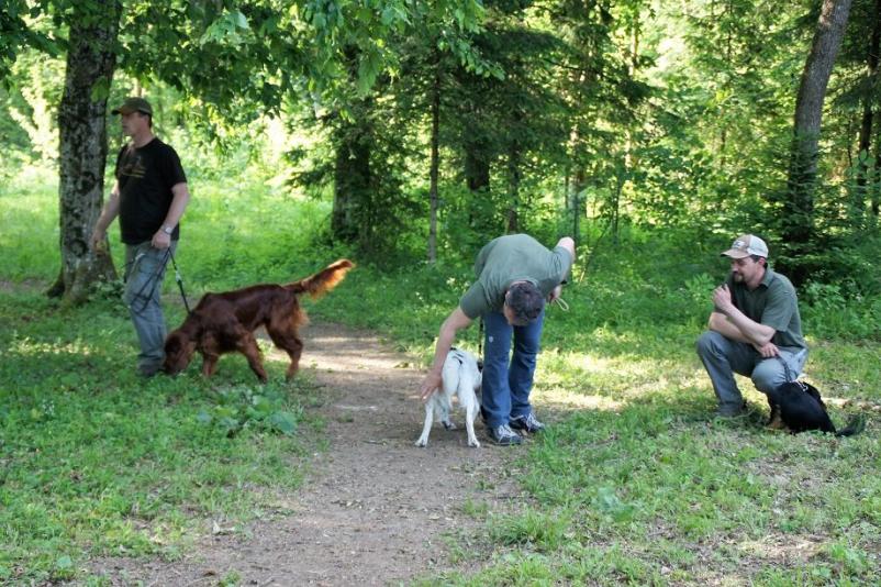 Kvalitetno šolanje lovskih psov Gorenjska