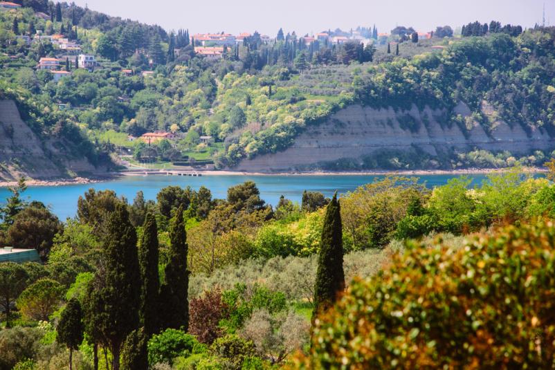 Včlanite se v Turistično društvo Trsek, Marezige, Koper