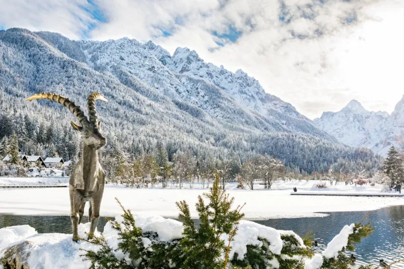 Kranjska Gora