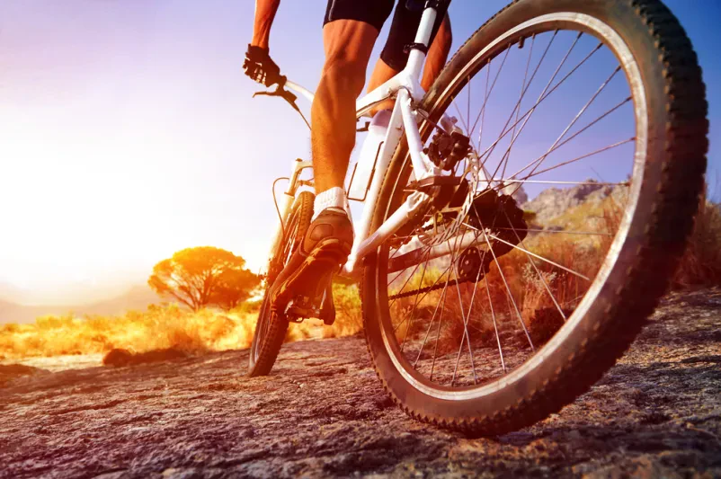 Bike rent Novo mesto