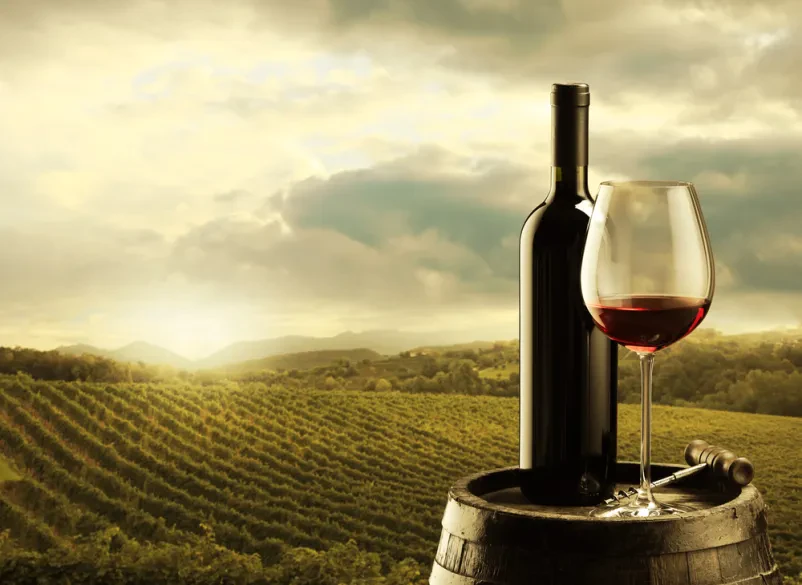 Vinogradniški dogodki in prireditve Dobrovnik, Pomurje