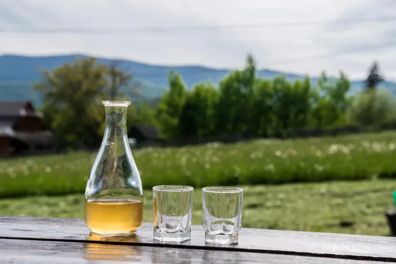 Najboljši sadni likerji na Obali