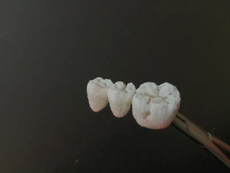 Zobotehnični laboratorij Postojna, Primorska