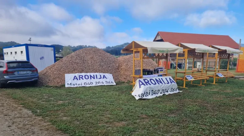 Prodaja aronije