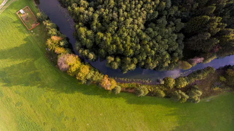 Urejanje gozdnih poti Ajdovščina, Goriška