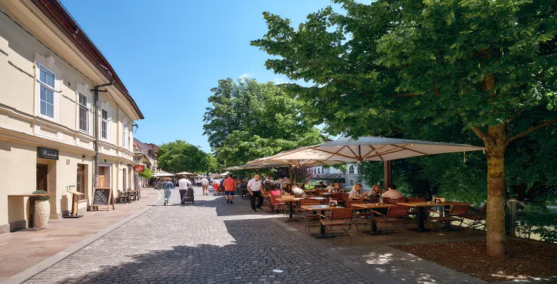 Das beste Restaurant Ljubljana Center, Slovenia