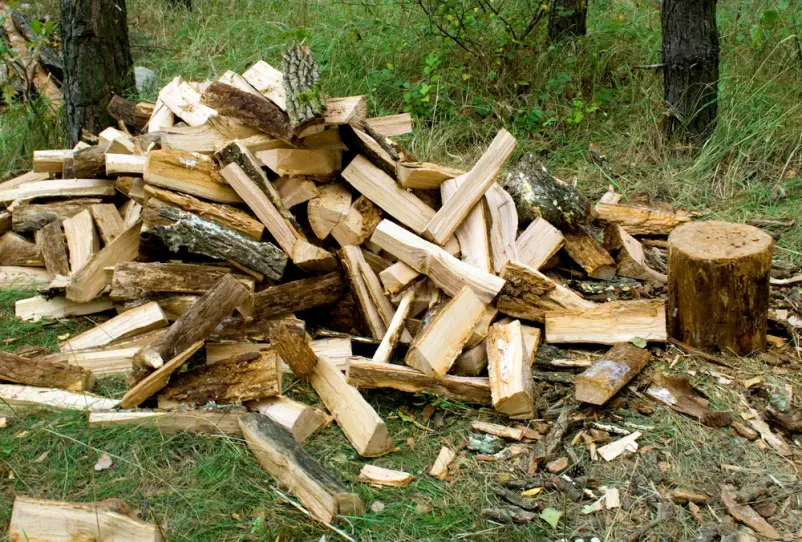 Baustoff- und Brennholzgroßhandel in Österreich