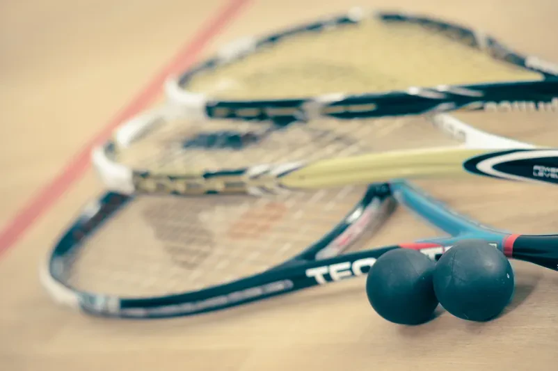 Vpis v Squash klub Lesce Bled, Gorenjska