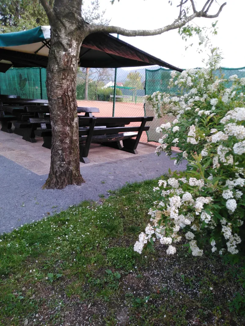 Tenis klub Metulj Šempeter, Savinjska