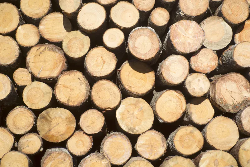 We offer the sale of sawn wood to the Arab world