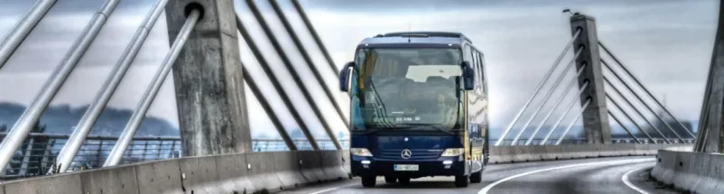 Avtobusni prevozi Ptuj, Štajerska