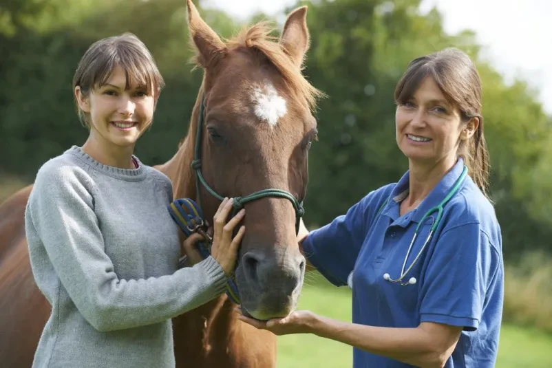 Innovative horse rehabilitation treatment - gold implants