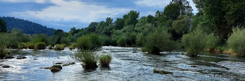 Ribiška družina Medvode