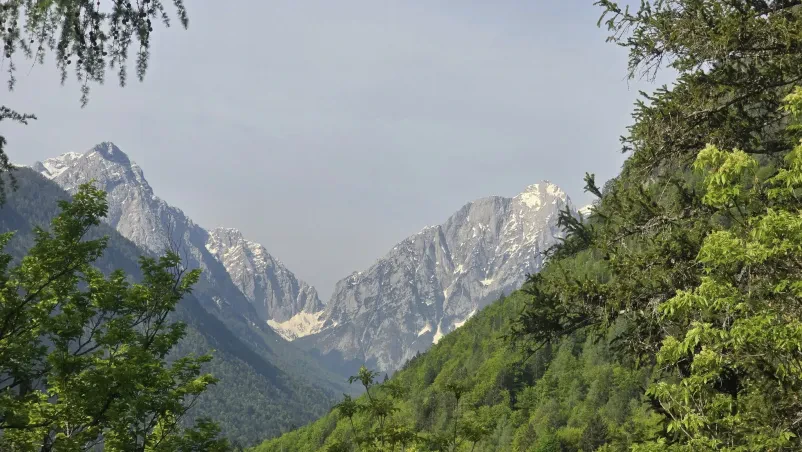Vpis v Planinsko društvo Ptuj