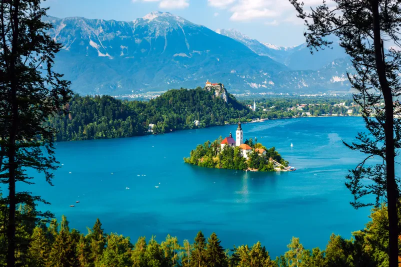 Good food in Bled