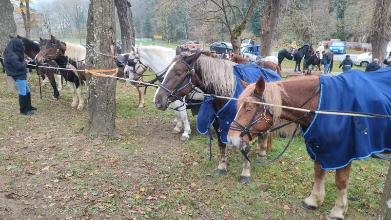 Spoznavanje običajev Frankolovo
