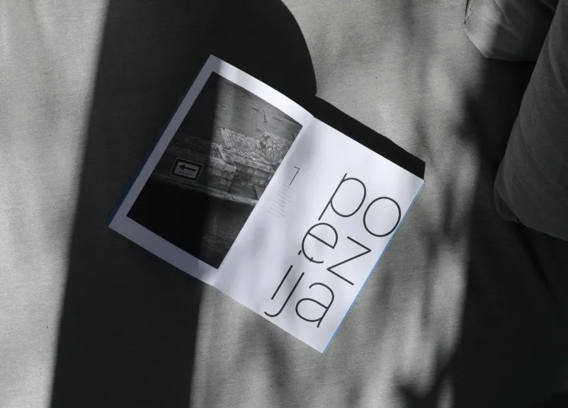 Izdaja in založništvo knjig, poezije in revije Poetikon Ljubljana, Osrednja Slovenija