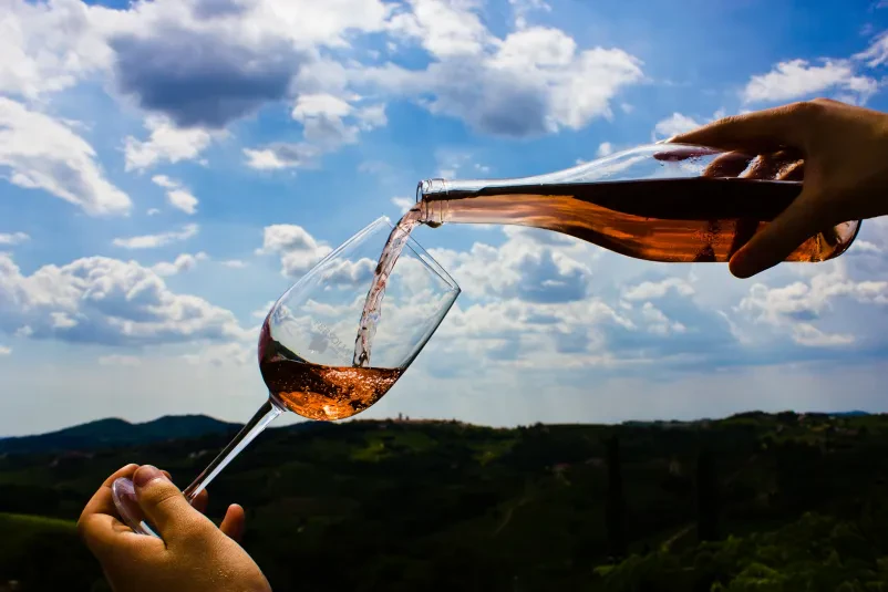 Degustacije vin, ogled vinske kleti Goriška Brda