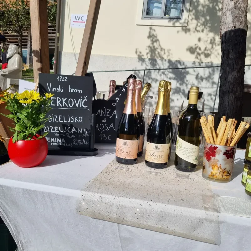 Spoznajte slovensko ekološko vino z Bizeljskega 