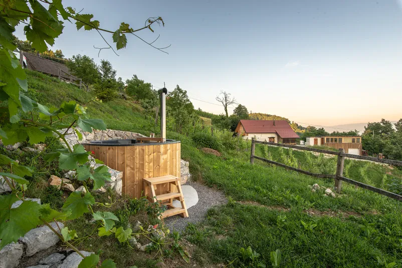 House for rent with wellness Dolenjska