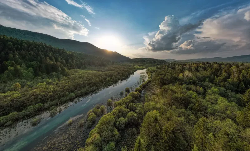 Ribiška družina Ribnica
