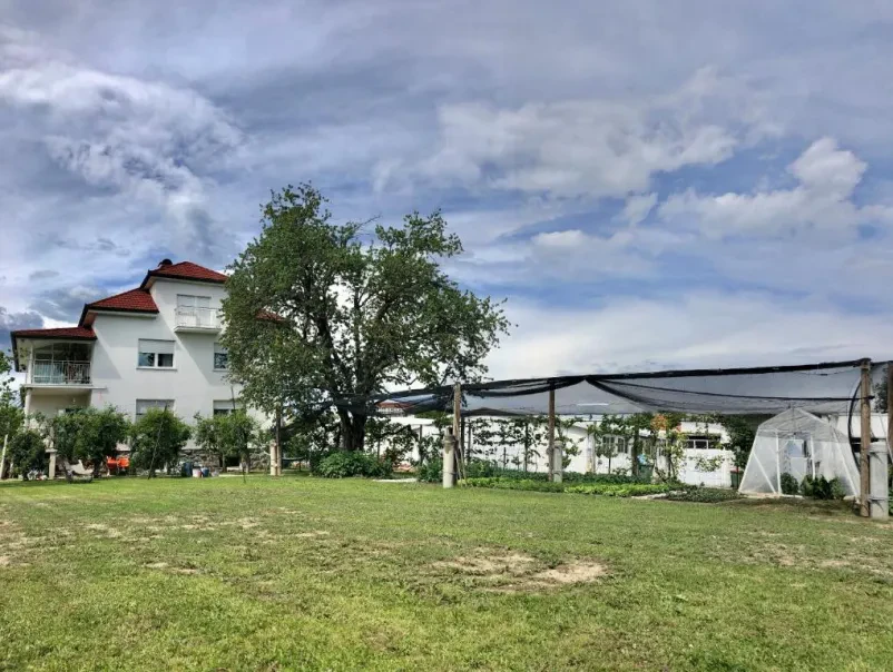 Poceni sobe Ptuj