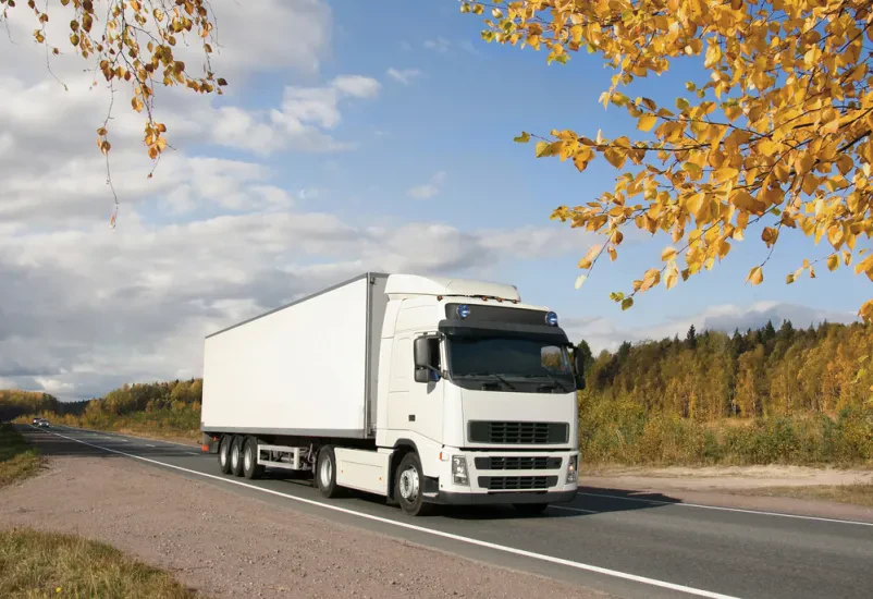 Domači kamionski prevozi po Sloveniji