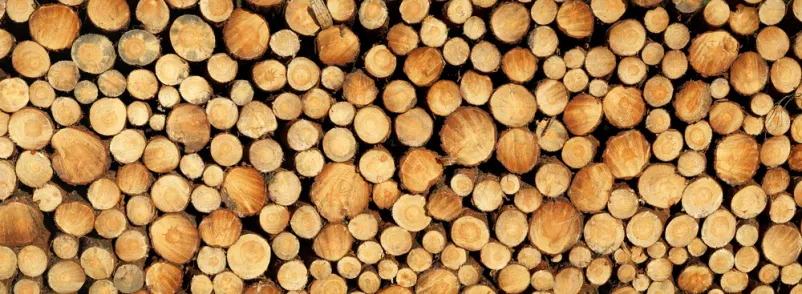 Prodaja rezanega lesa Pomurje, Slovenija