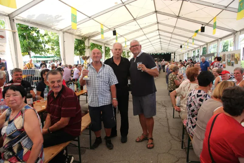 Dejavnosti in aktivnosti za upokojence Dolenjska