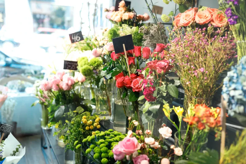 Dobra cvetličarna v Slovenskih Konjicah