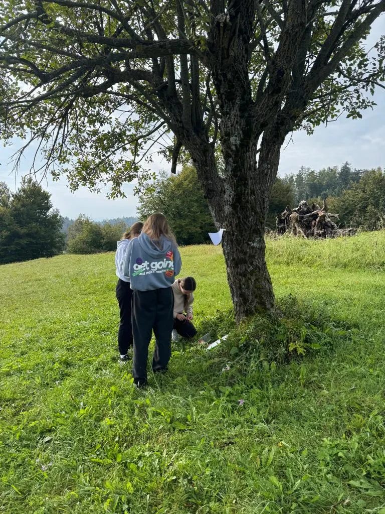 Športna gimnazija Nova Gorica