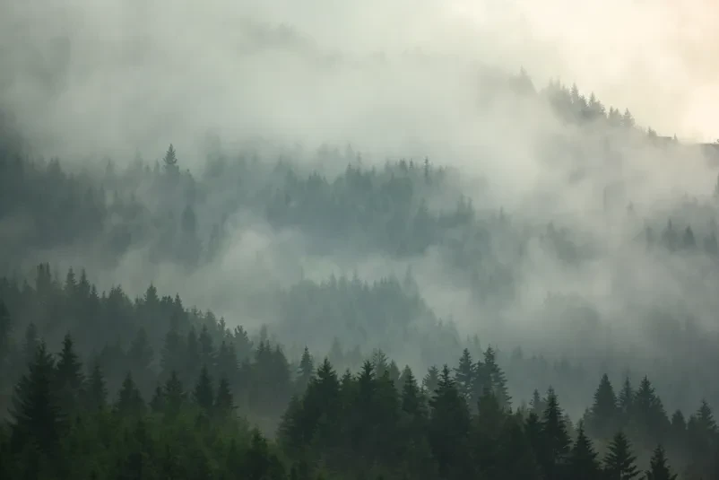 Najboljša planinska postojanka Podravska