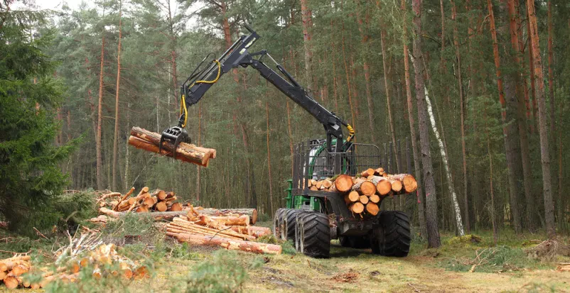 Posek in spravilo lesa Gorenjska