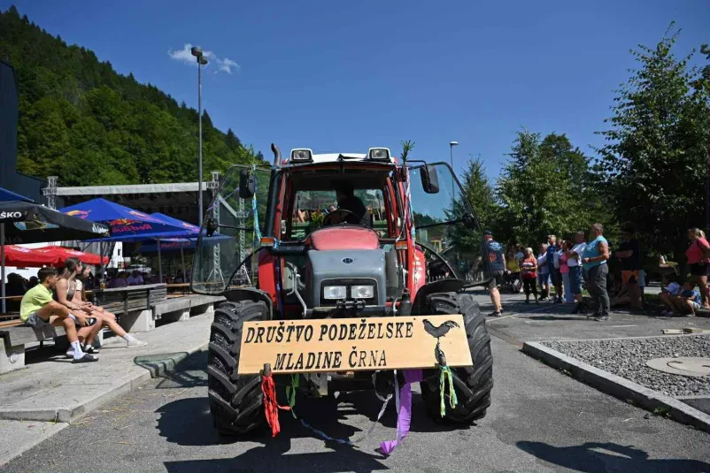 Društvo podeželske mladine na Koroškem