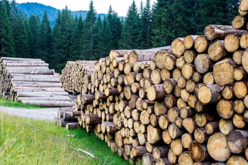 Priprava drv za zimo Osrednja Sovenija