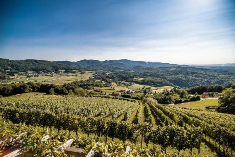 Turistična kmetija Dolenjska, Slovenija