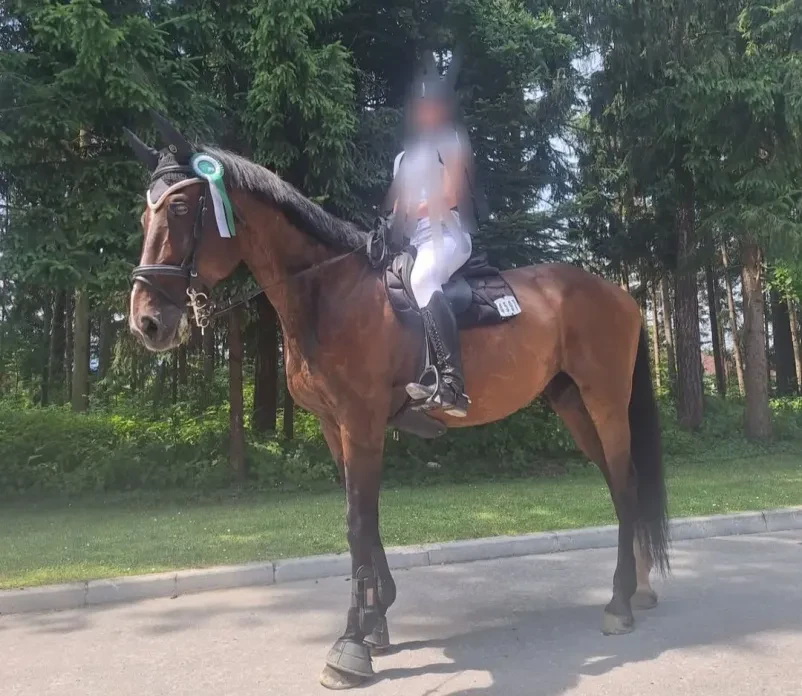 Vpis v poletni jahalni tabor