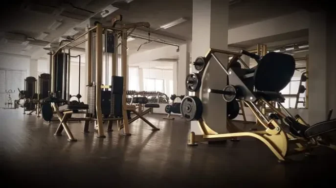 Ugoden fitnes Koroška