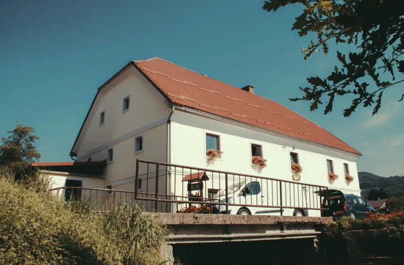 Pirina moka Savinjska