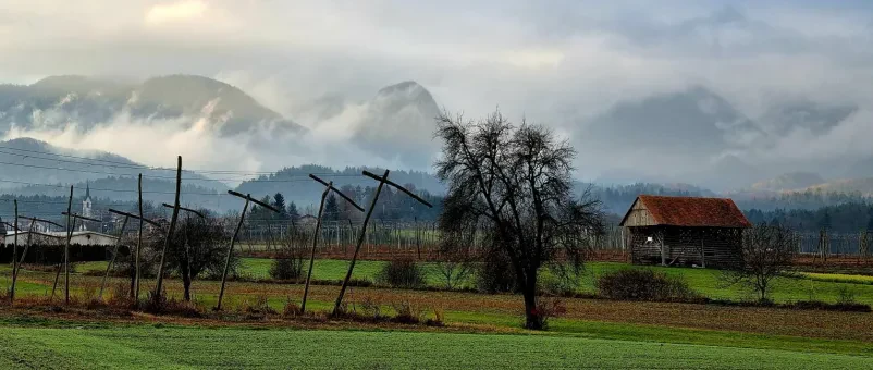 Tabor, Savinjska regija