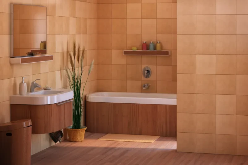 Adaptacija sanitarnih prostorov
