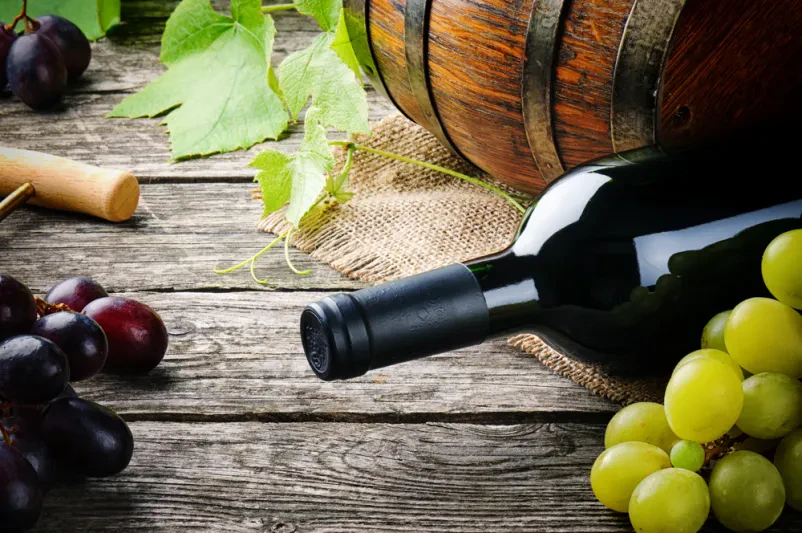 Druženje za zaključene družbe v vinski kleti Goriška