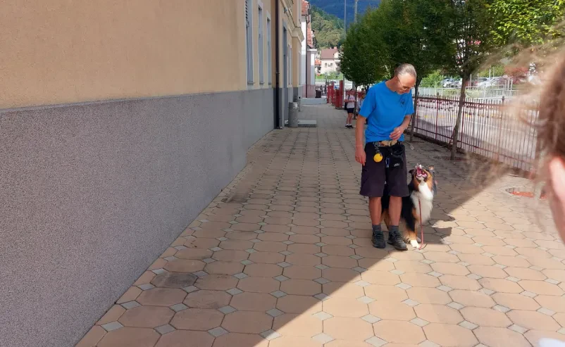 Pasja šola za mladičke Trbovlje, Zasavje