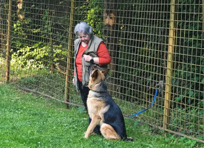 Pasja šola cena Trbovlje, Zasavje