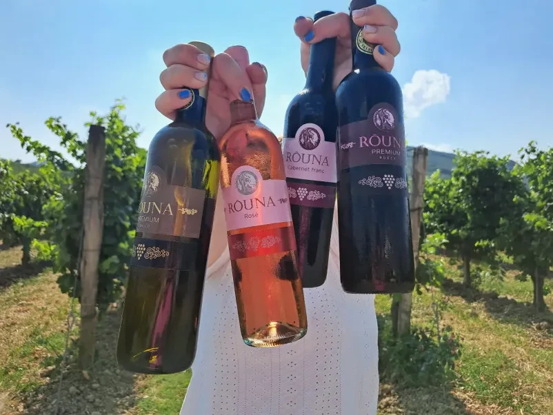 Vinogradniška kmetija Goriška