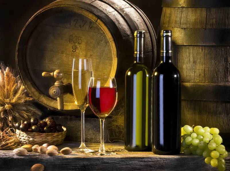 Dobra vipavska vina