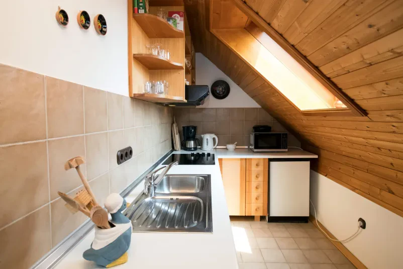 Apartmaji z zajtrkom Bohinj