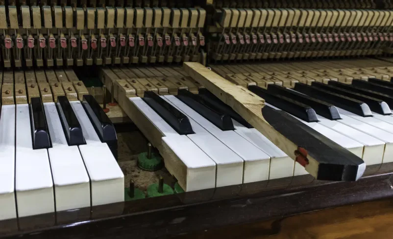 Musical instrument making Slovenia